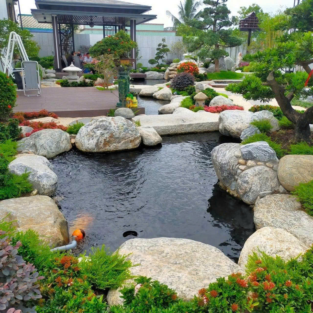 Hồ cá Koi cao cấp tại biệt thự Huế