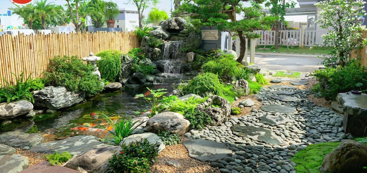 Hồ cá Koi cao cấp tại biệt thự Huế