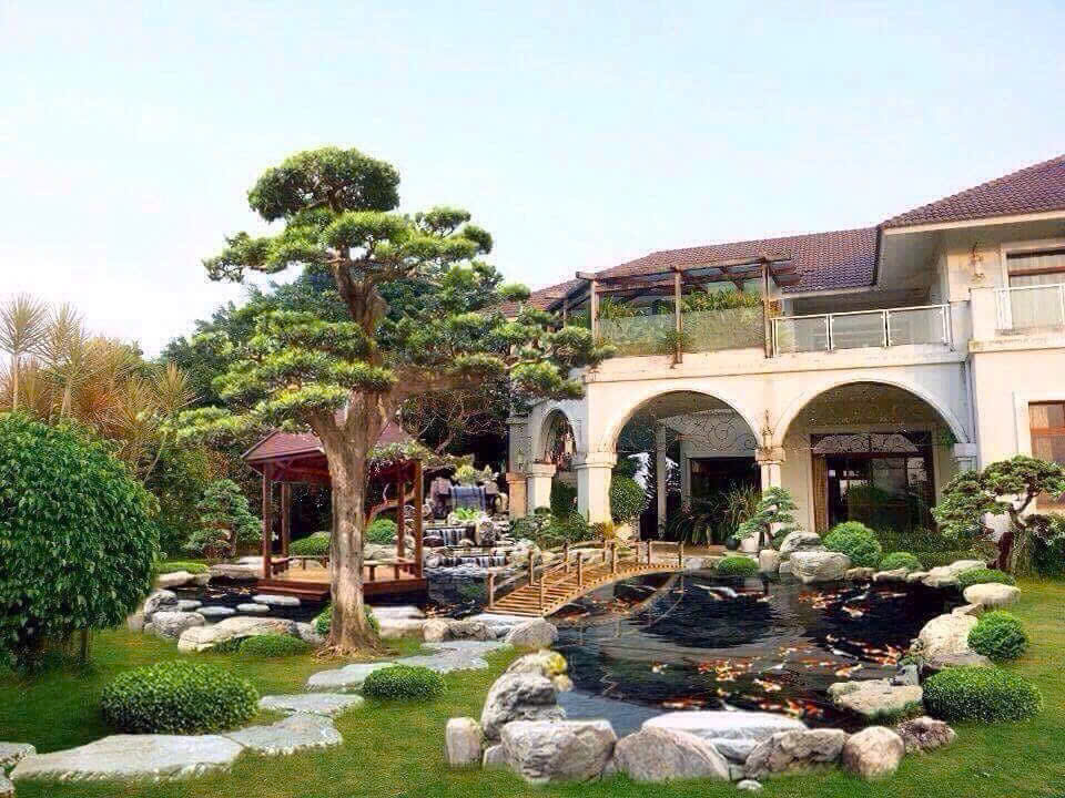 Cách thiết kế, bố trí cảnh quan sân vườn đẹp