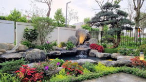 Hồ cá Koi cao cấp tại biệt thự Huế